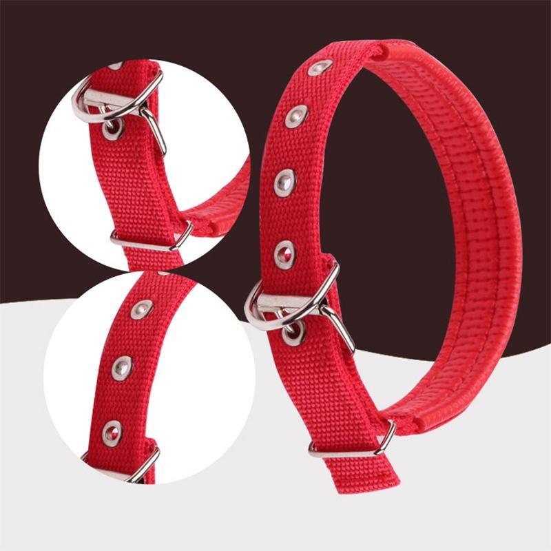 Pet Collar Simple Solid Color Dog Collar Leather Lining Adjustable Small Dog Collar Bichon Labrador Medium To Large Dog Collar